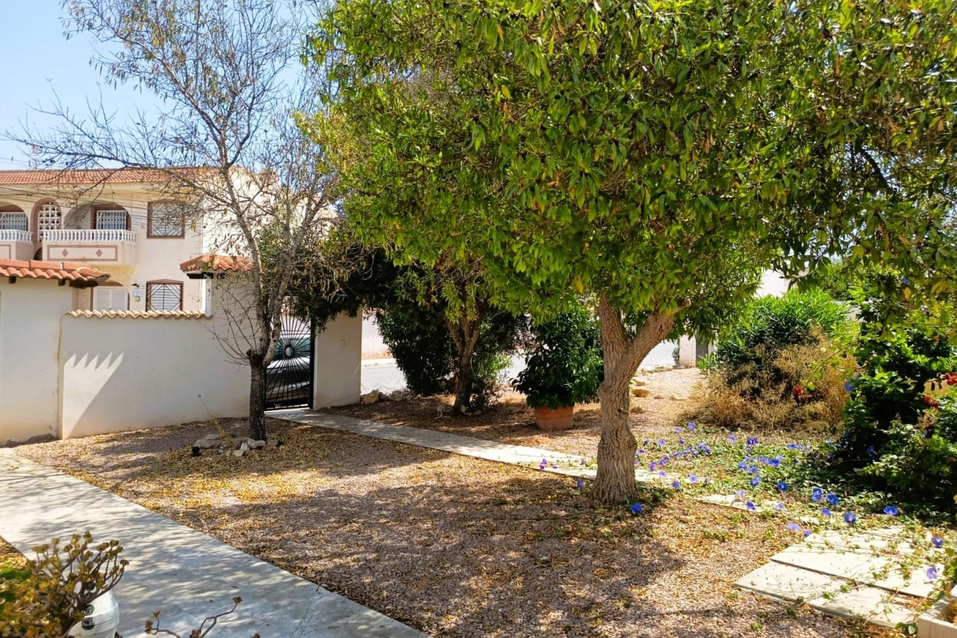 Revente - Bungalow - Rez-de-chaussée - Torrevieja - La Siesta - El Salado - Torreta