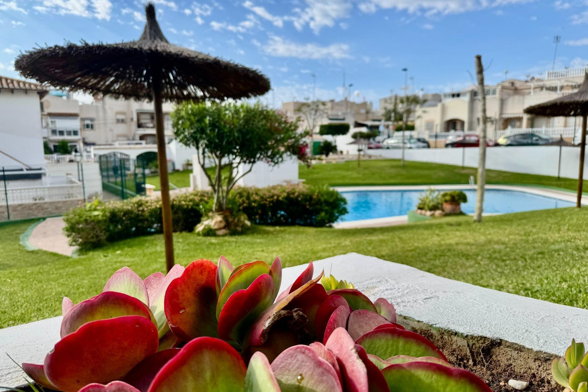 Revente - Bungalow - Rez-de-chaussée - Torrevieja - Los balcones
