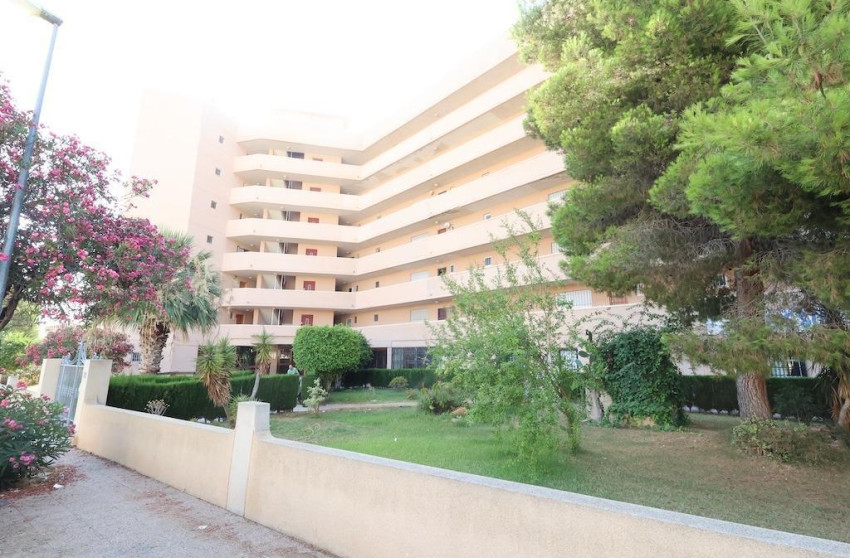 Revente - Commercial - Orihuela Costa - La Zenia