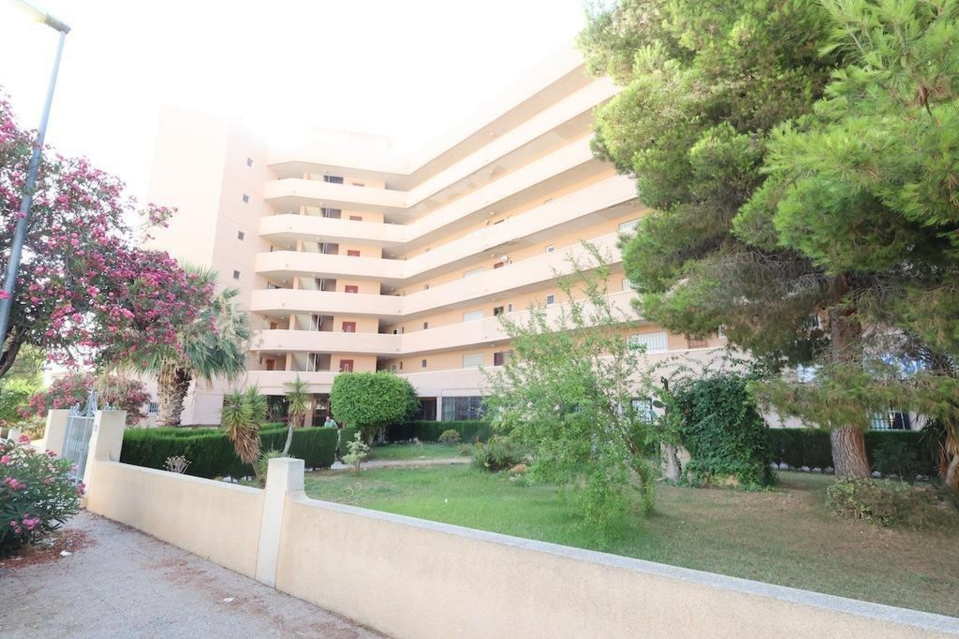 Revente - Commercial - Orihuela Costa - La Zenia