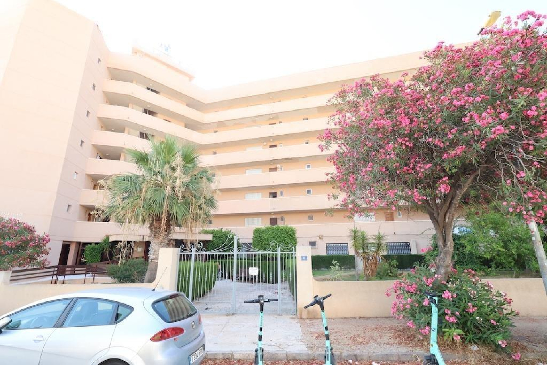 Revente - Commercial - Orihuela Costa - La Zenia