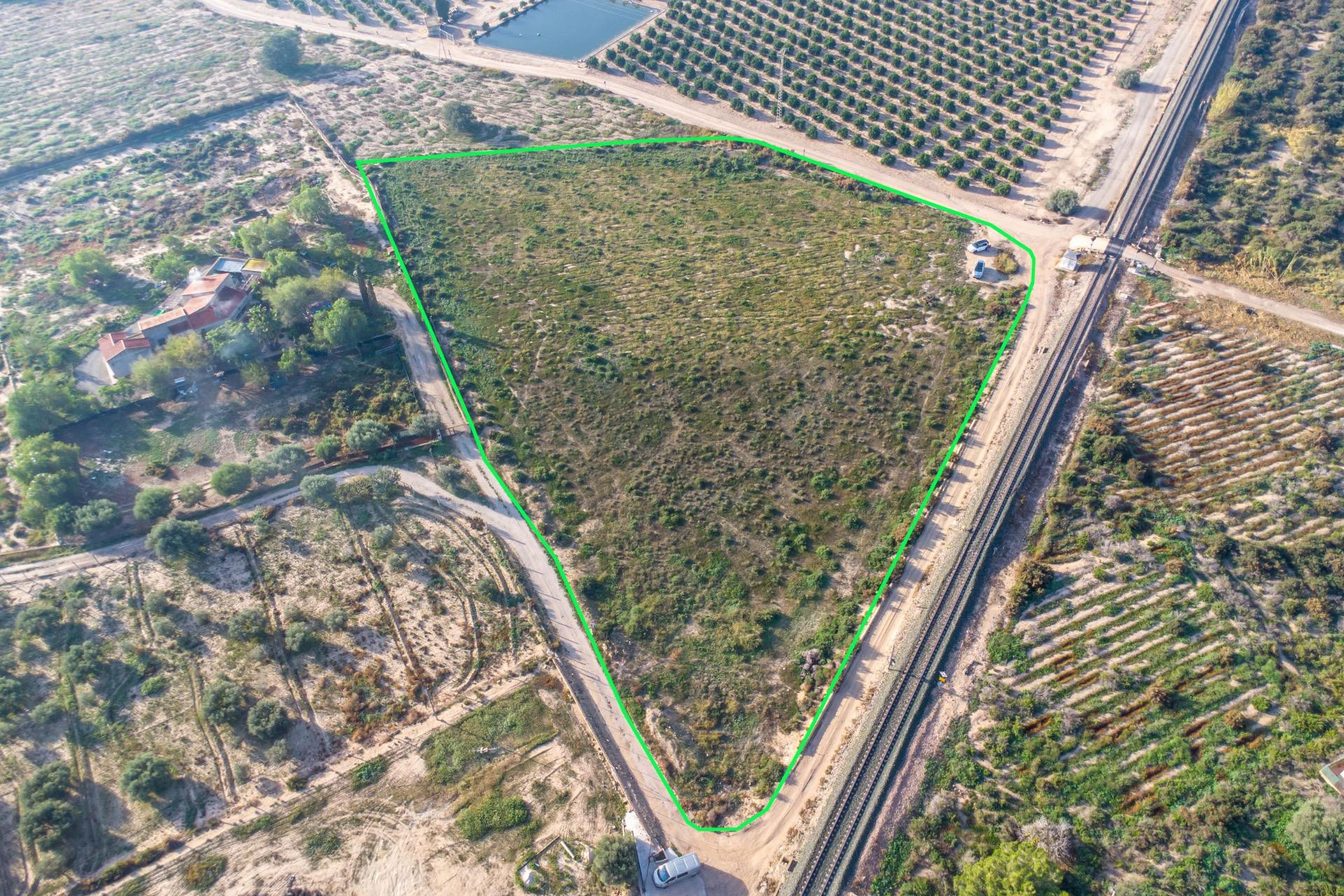 Revente - Country land - Crevillent - Comunidad valenciana