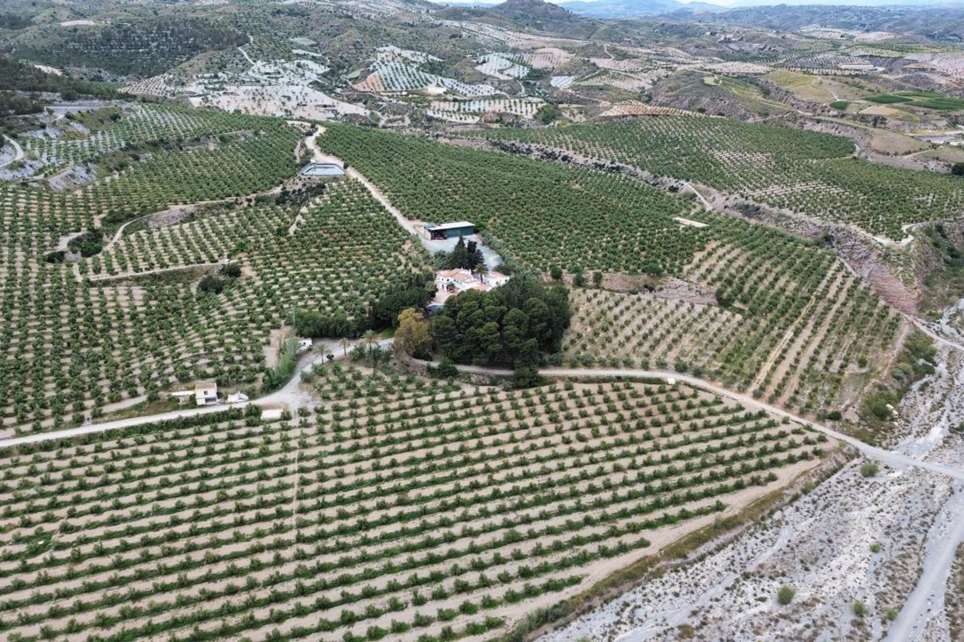 Revente - Country land - Puerto Lumbreras - Nogalte