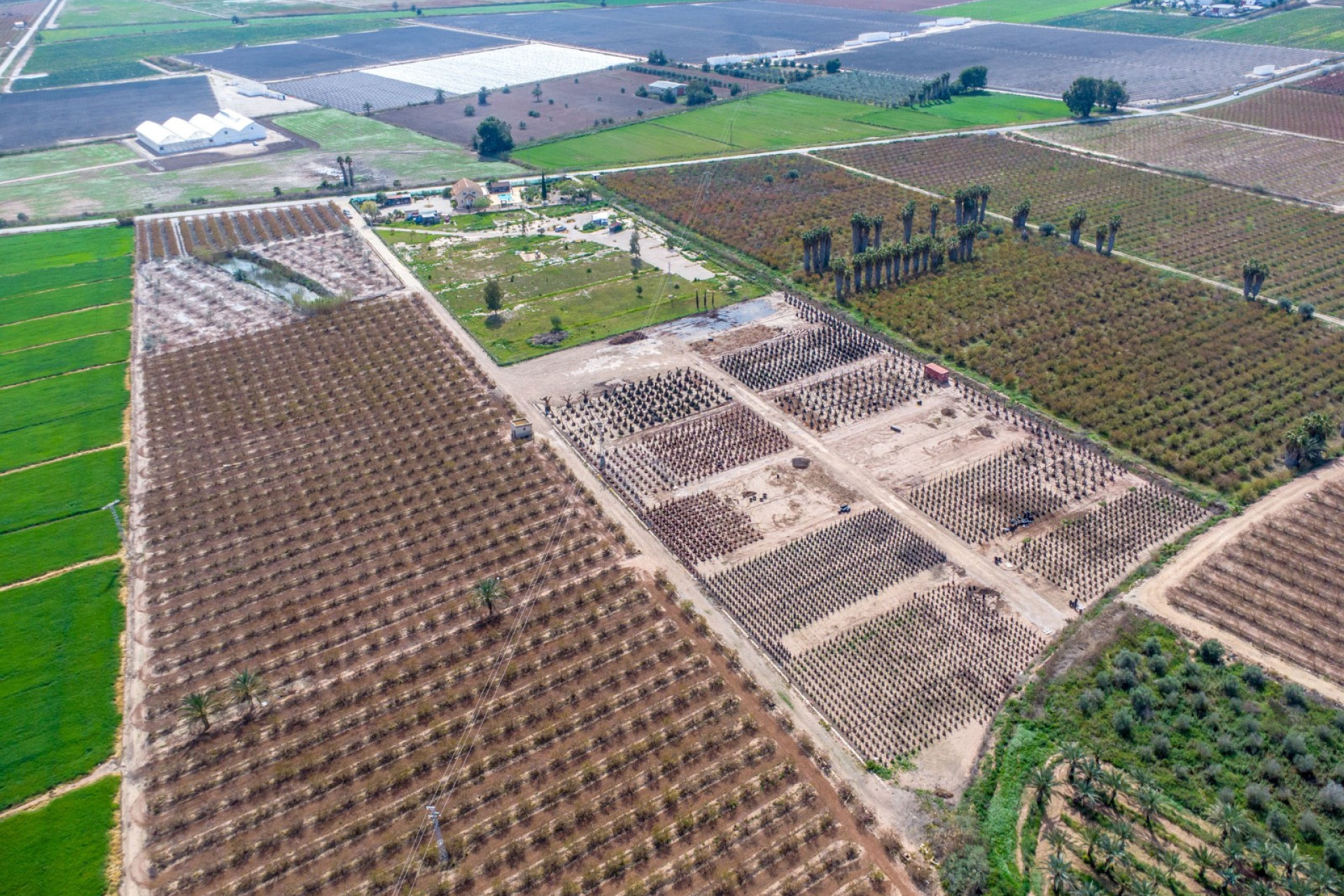 Revente - Country Property - Albatera - Albatera - Country