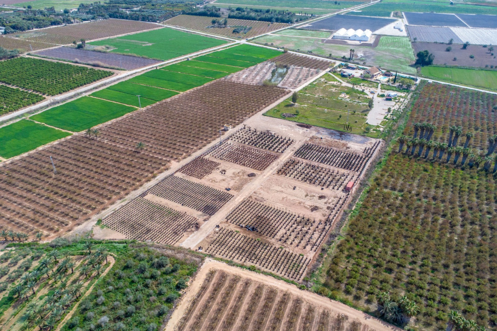 Revente - Country Property - Albatera - Albatera - Country