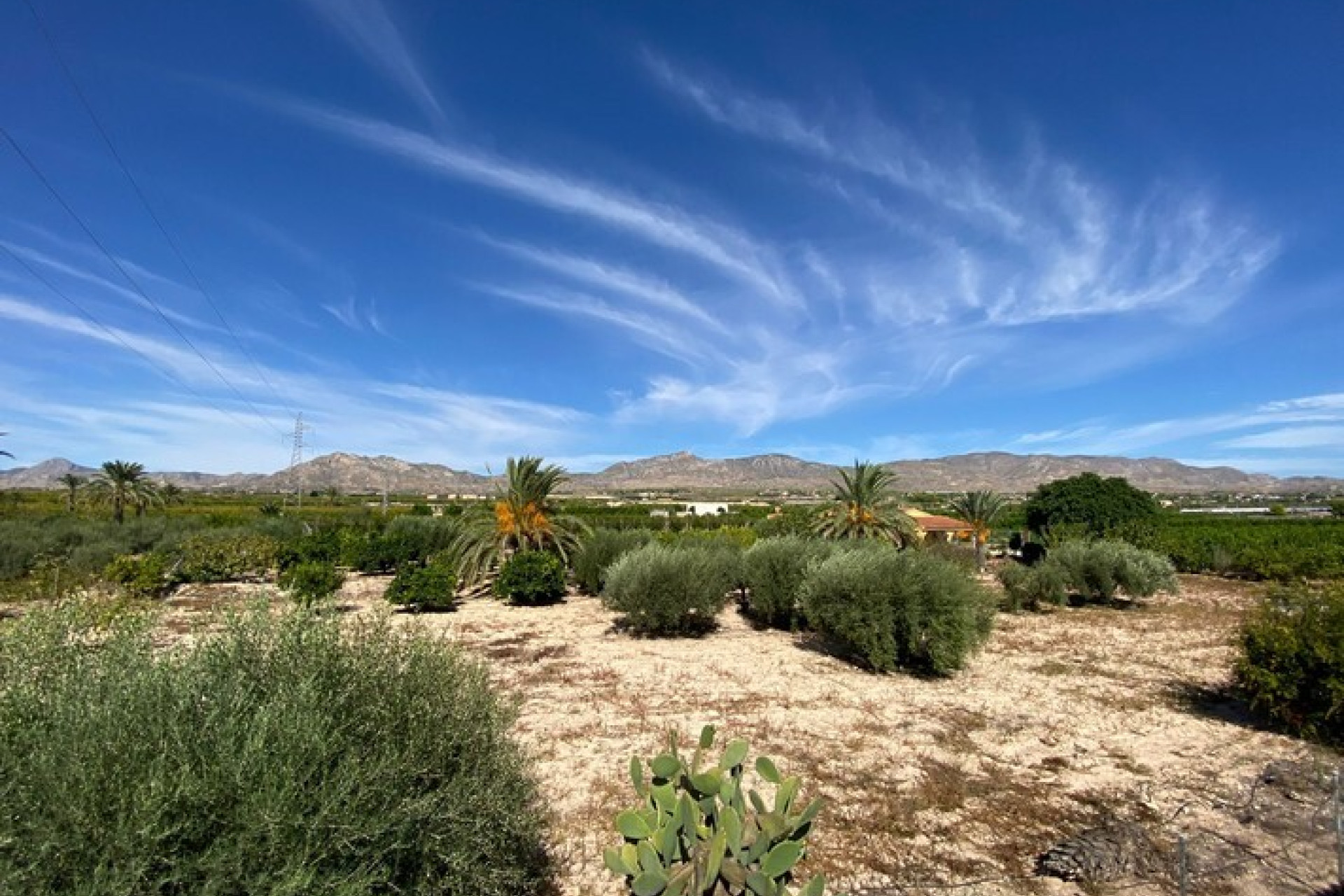 Revente - Country Property - Albatera - Costa Blanca