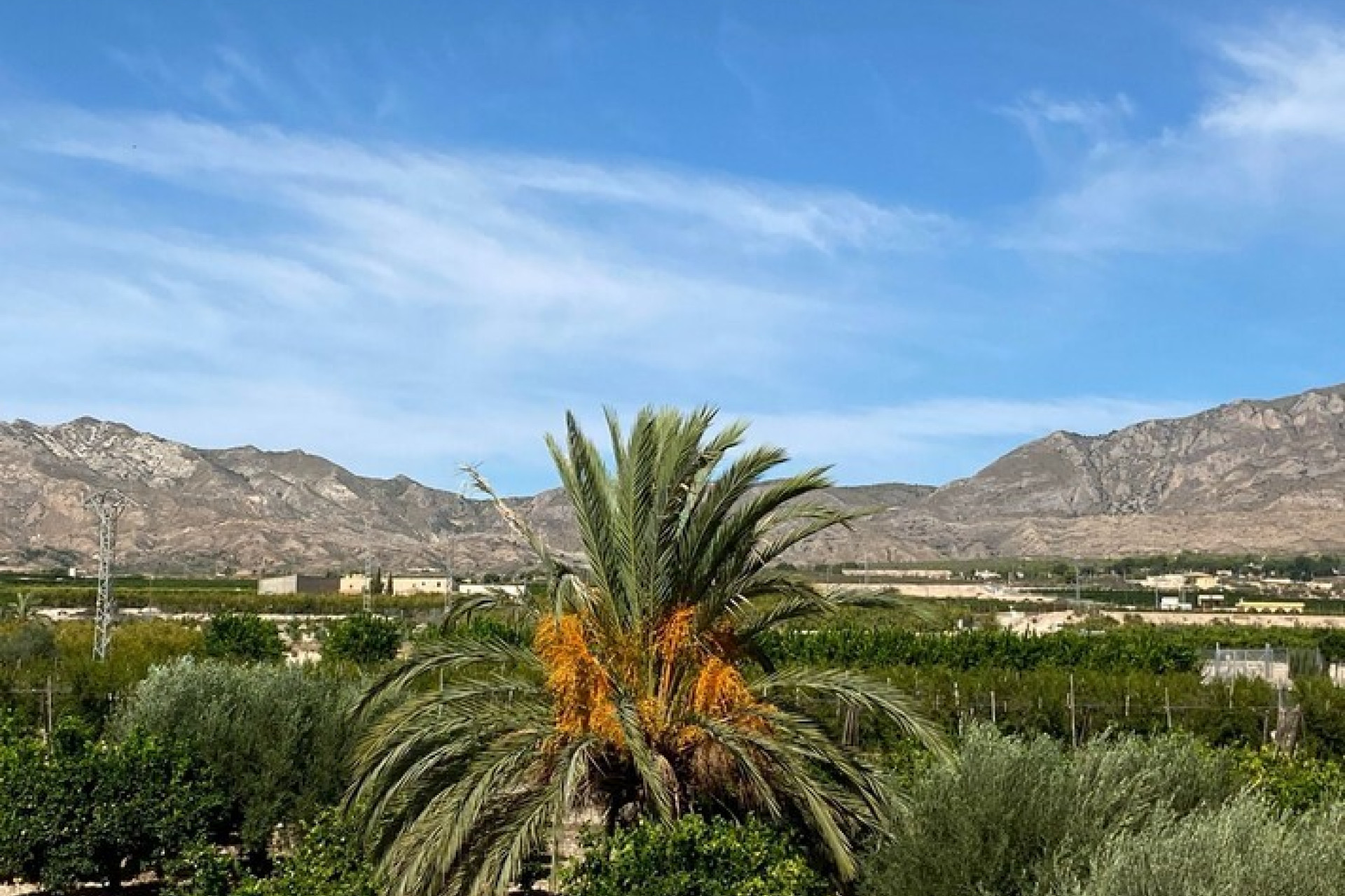 Revente - Country Property - Albatera - Costa Blanca