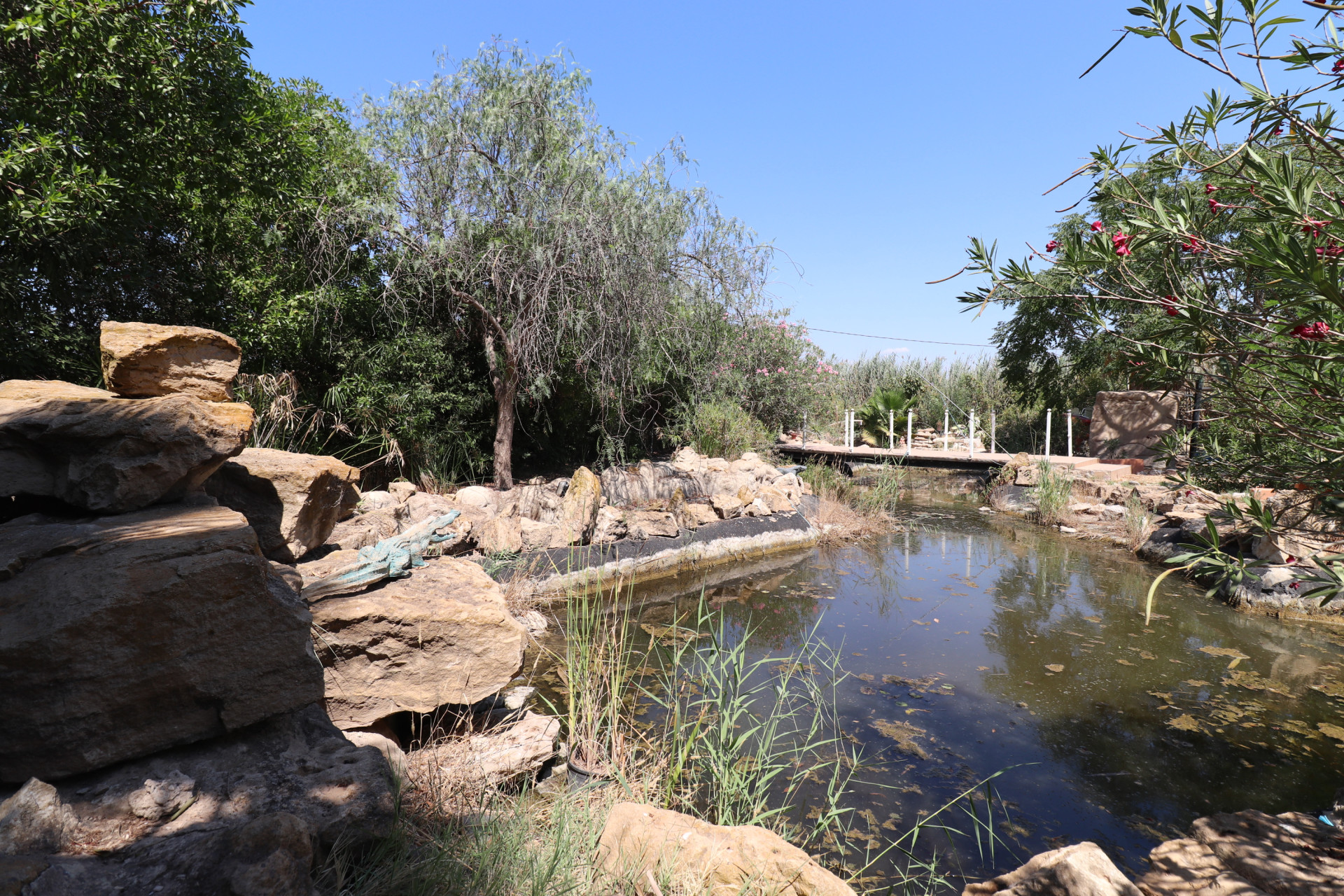 Revente - Country Property - Catral - Catral - Country