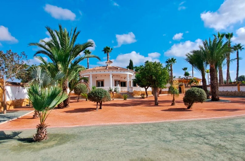 Revente - Country Property - Catral - Catral - Country