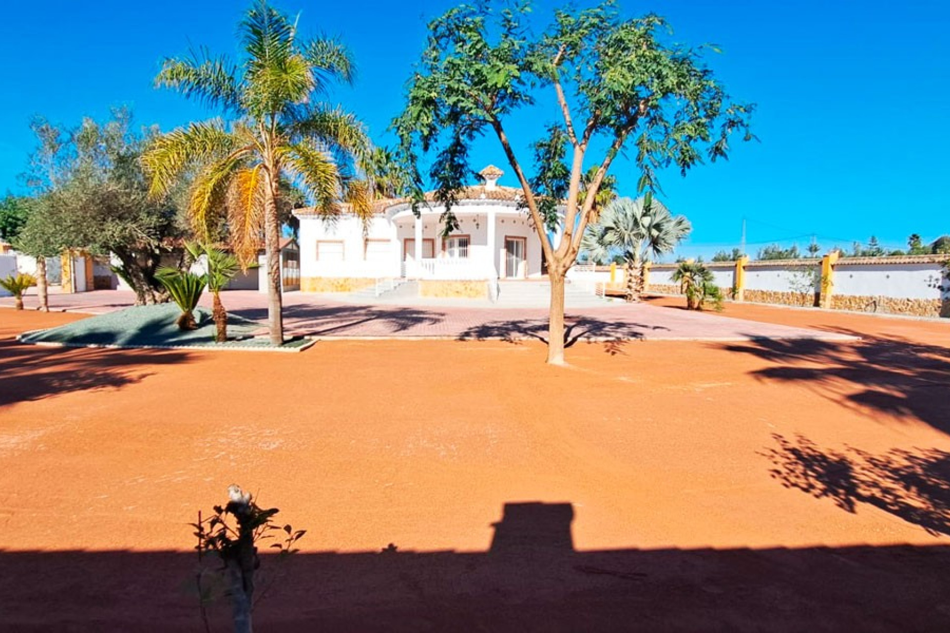Revente - Country Property - Catral - Catral - Country
