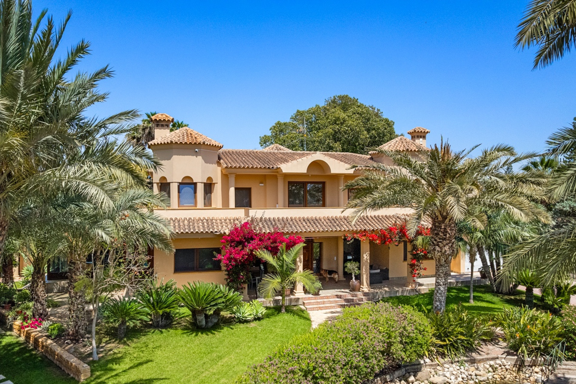 Revente - Country Property - Elche - Elche - Country