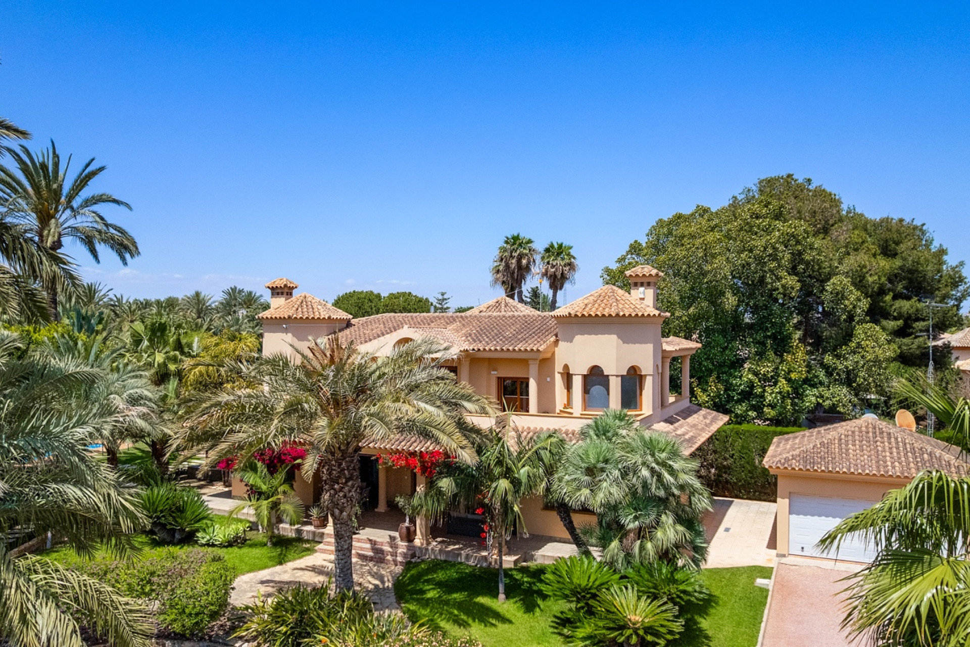 Revente - Country Property - Elche - Elche - Country