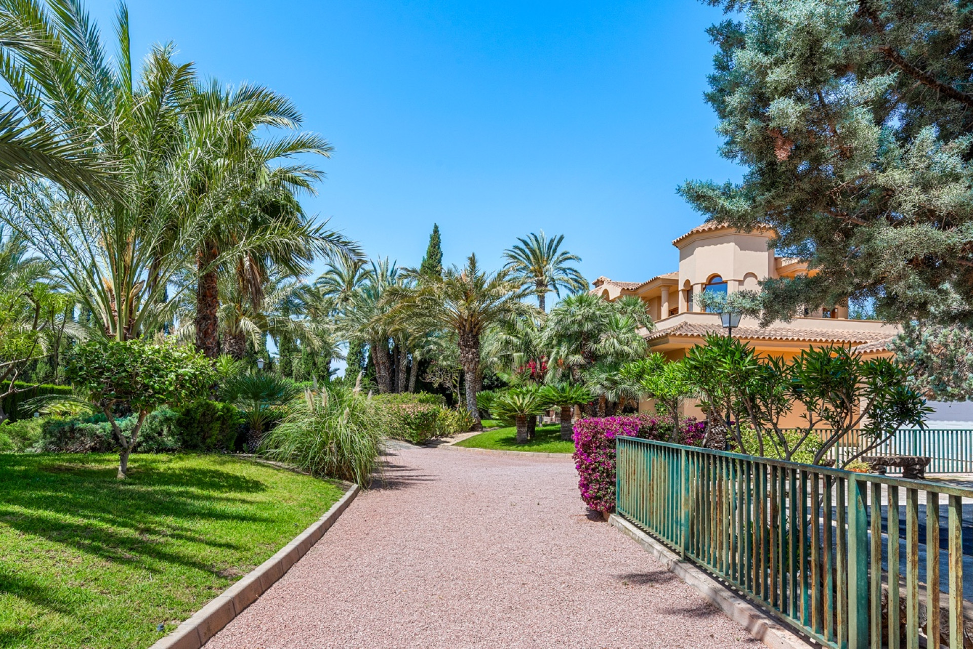 Revente - Country Property - Elche - Elche - Country