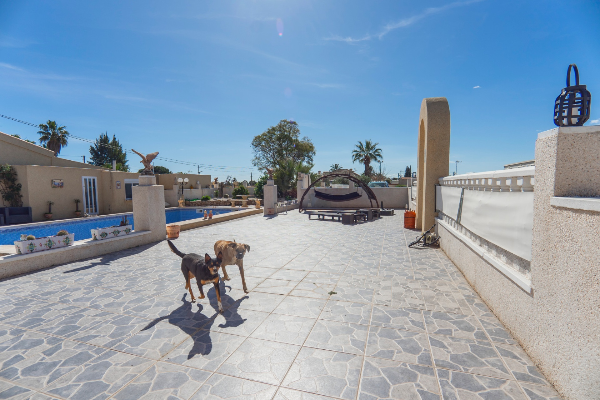 Revente - Country Property - Los Montesinos - Los Montesinos - Country