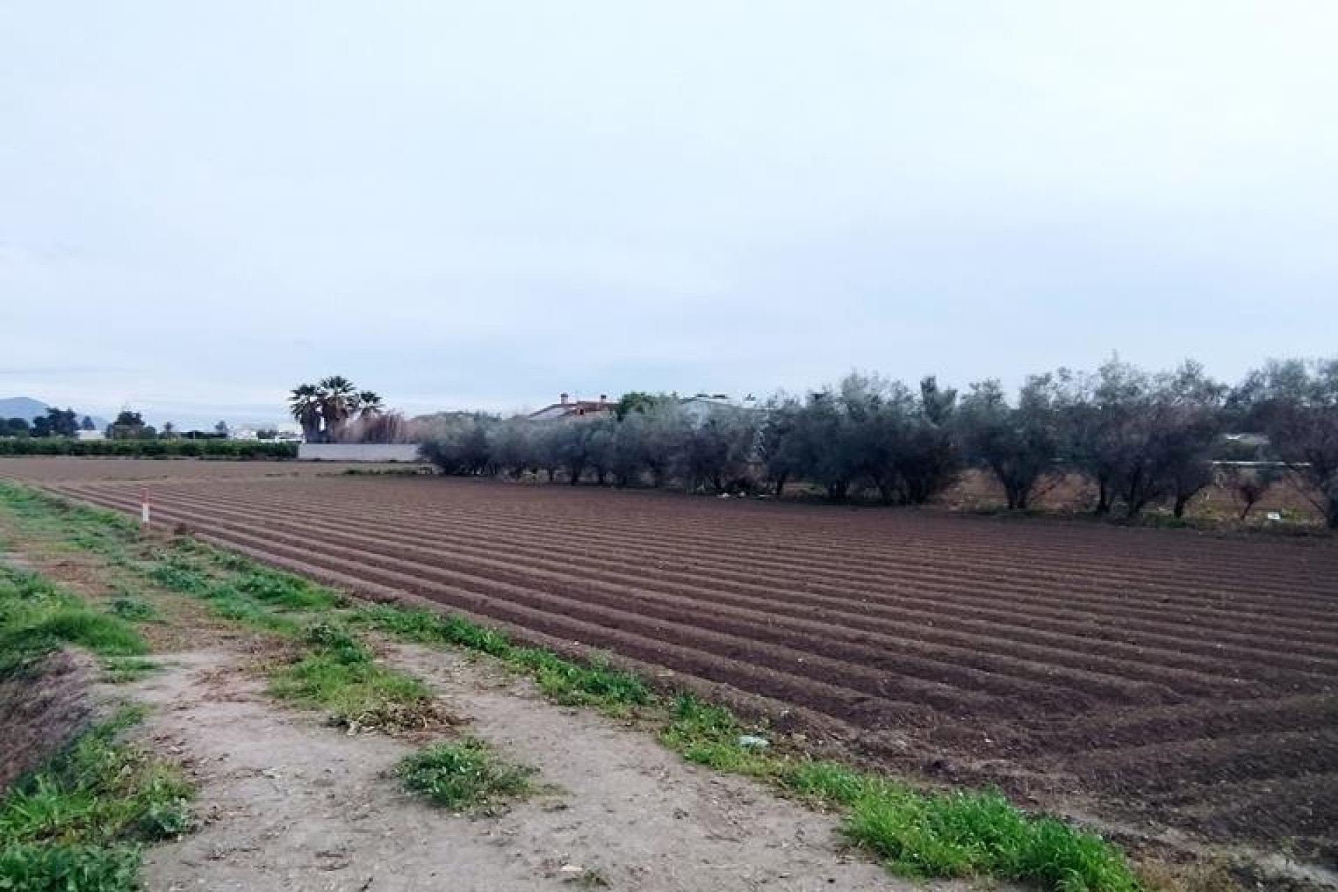 Revente - Country Property - Orihuela - Correntías Bajas