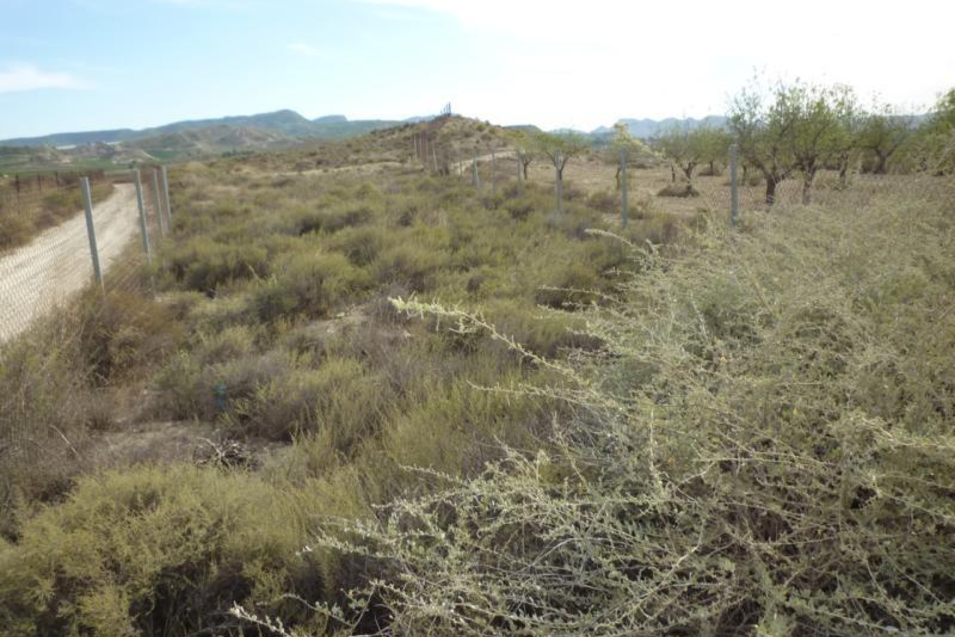 Revente - Country Property - Orihuela - Desamparados-Hurchillo-Torremendo