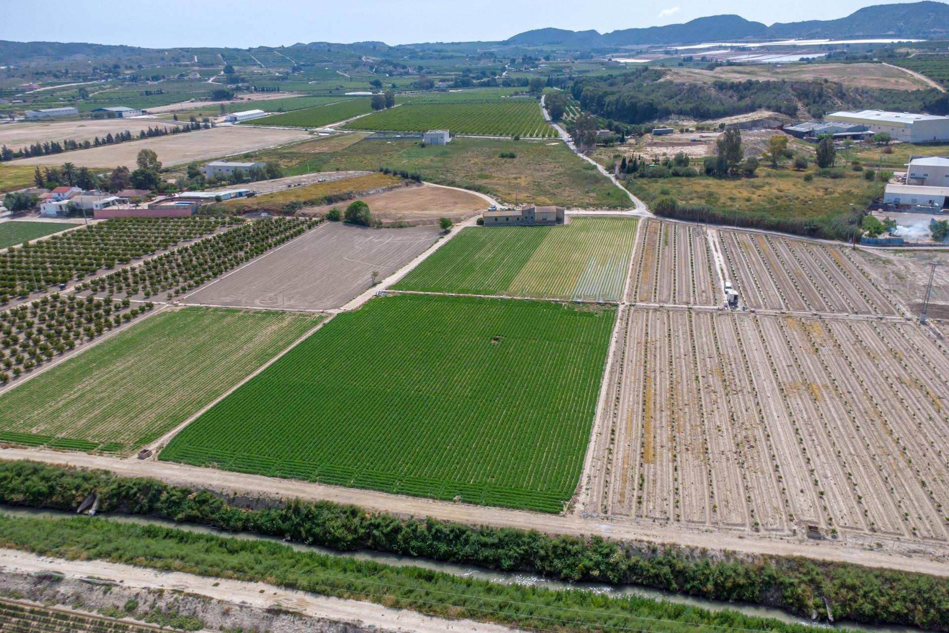 Revente - Country Property - Orihuela - Los Desamparados