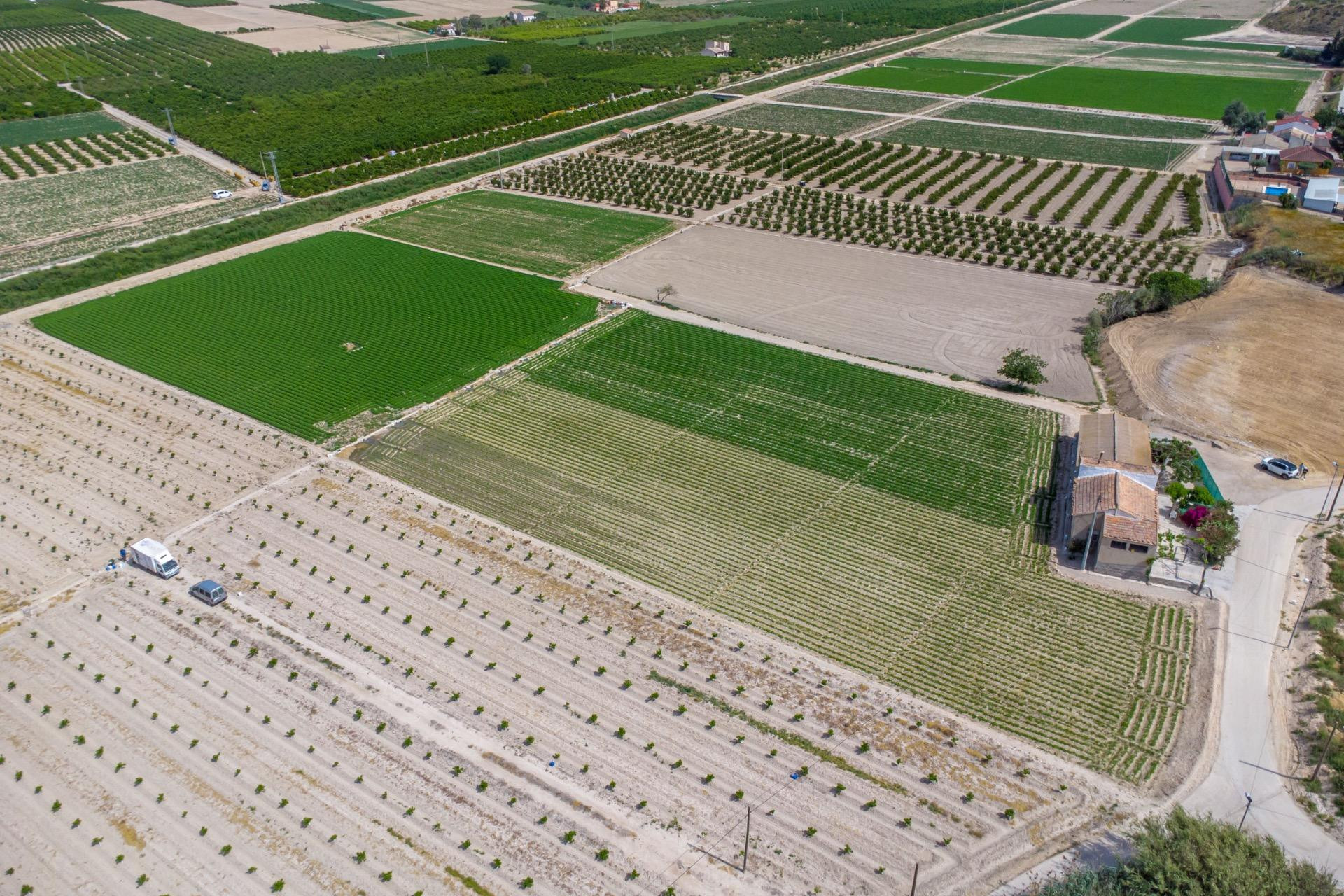 Revente - Country Property - Orihuela - Los Desamparados