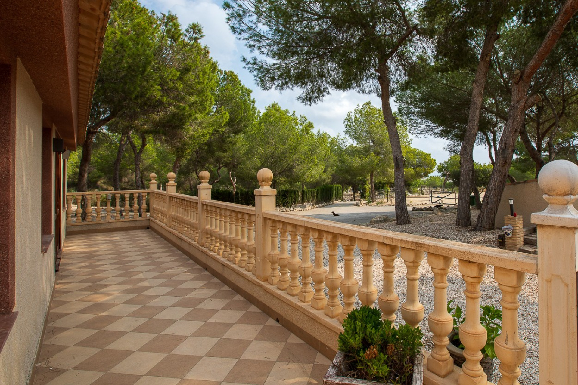 Revente - Country Property - Torremendo
