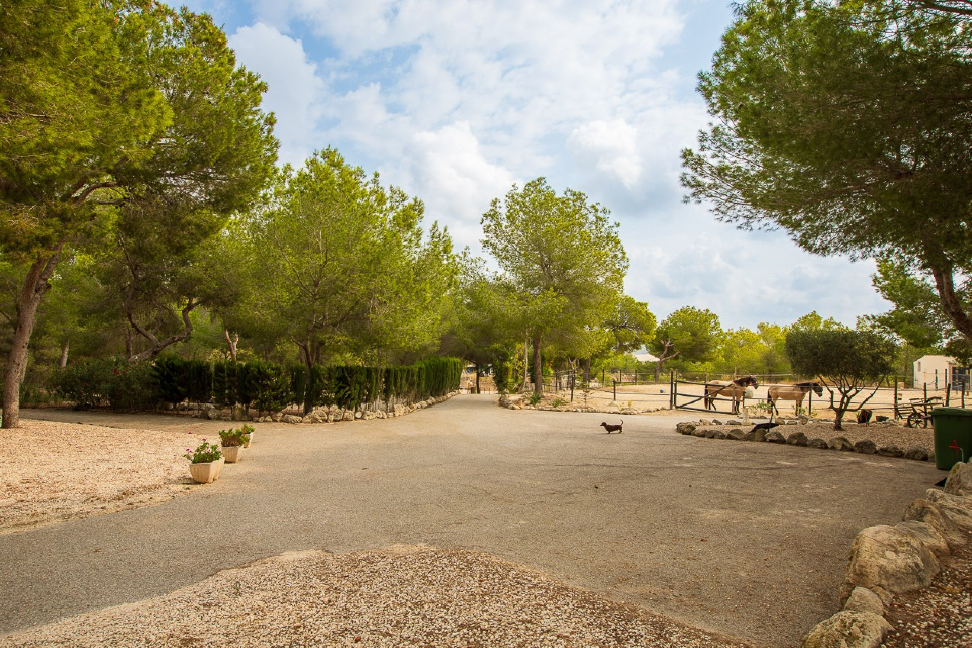 Revente - Country Property - Torremendo