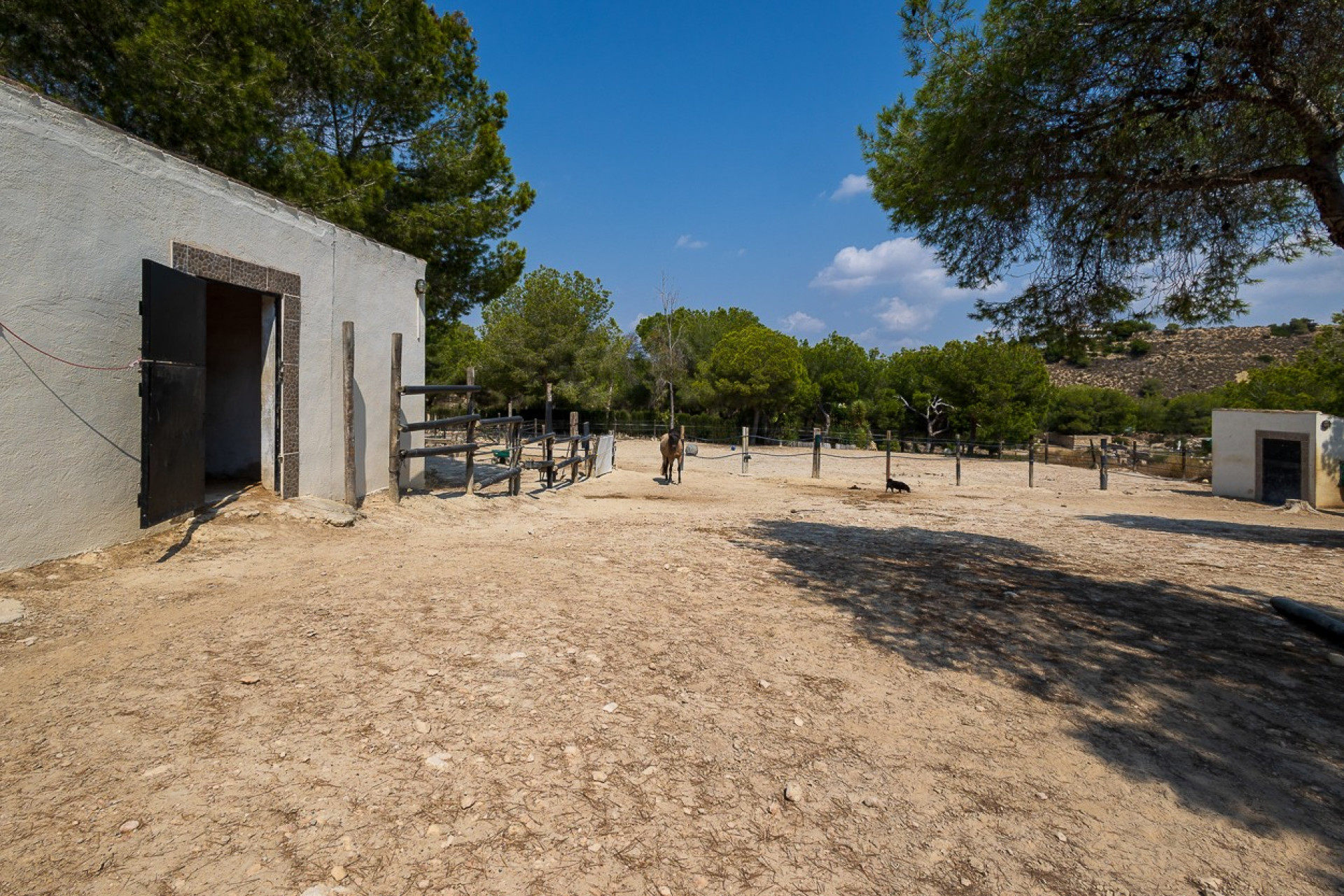 Revente - Country Property - Torremendo