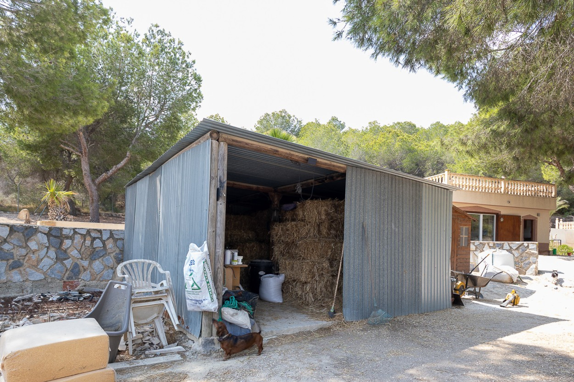 Revente - Country Property - Torremendo