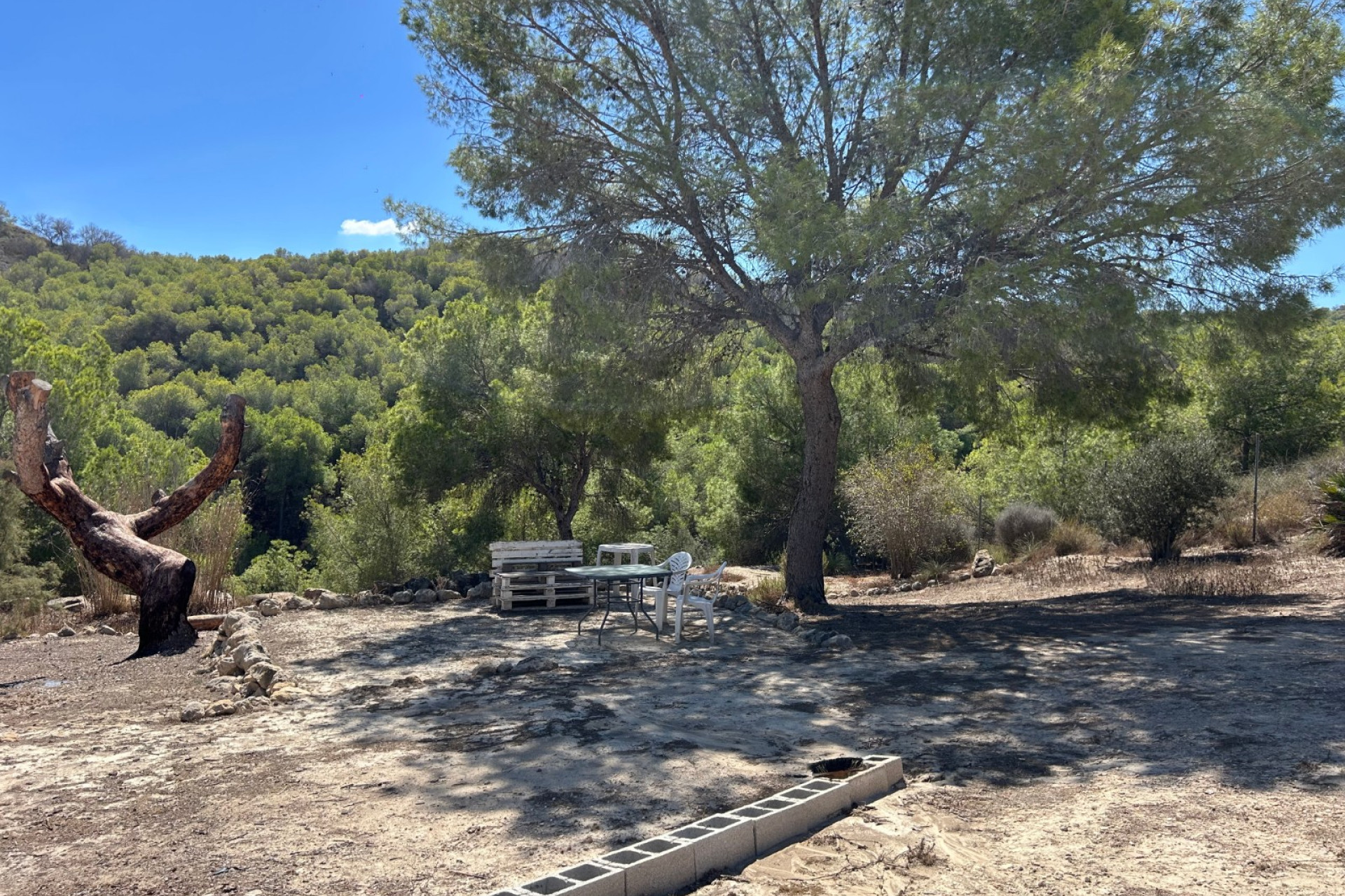 Revente - Country Property - Torremendo