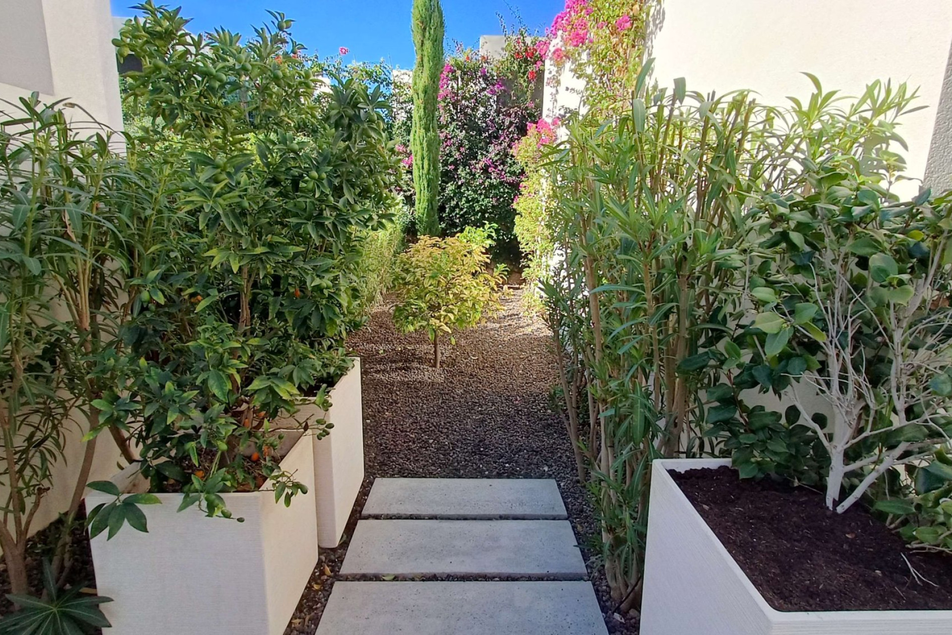 Revente - Detached Villa - Algorfa - La Finca Golf Resort