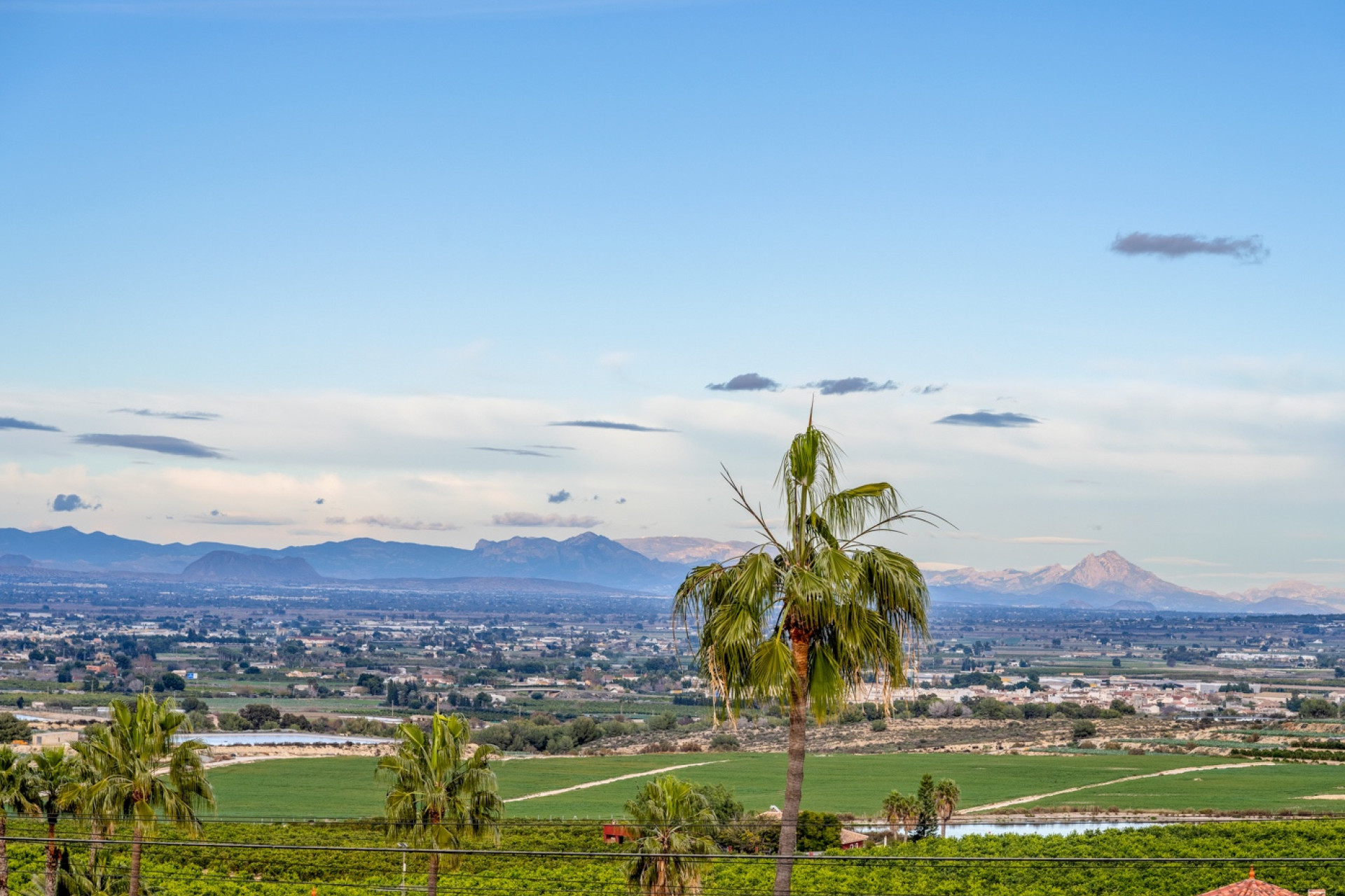 Revente - Detached Villa - Algorfa - Lomas de La Juliana