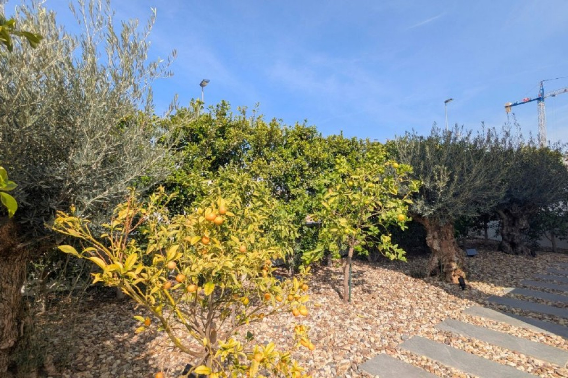 Revente - Detached Villa - Benijofar