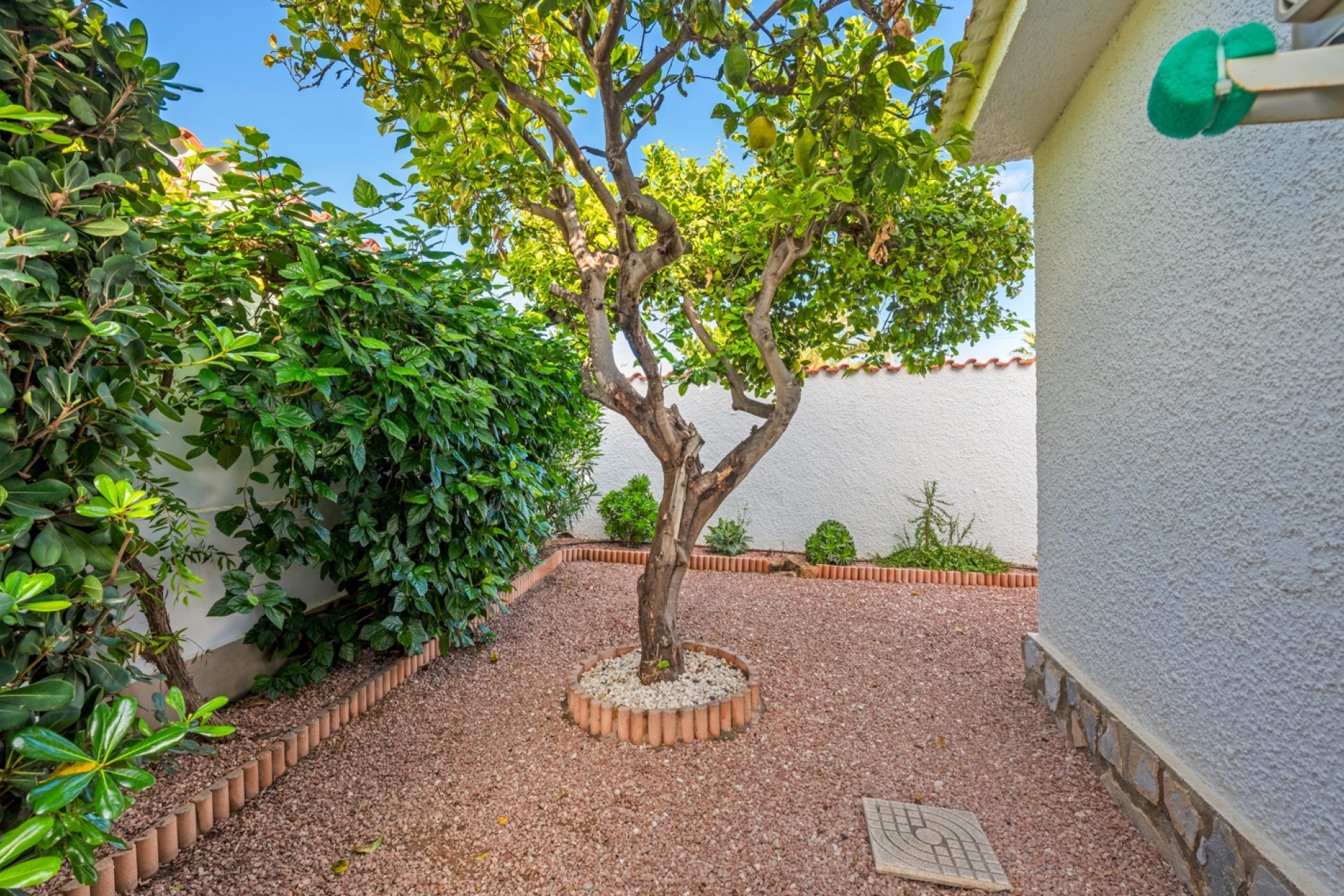 Revente - Detached Villa - Ciudad Quesada - Rojales - Rojales