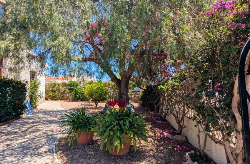 Revente - Detached Villa - Ciudad Quesada