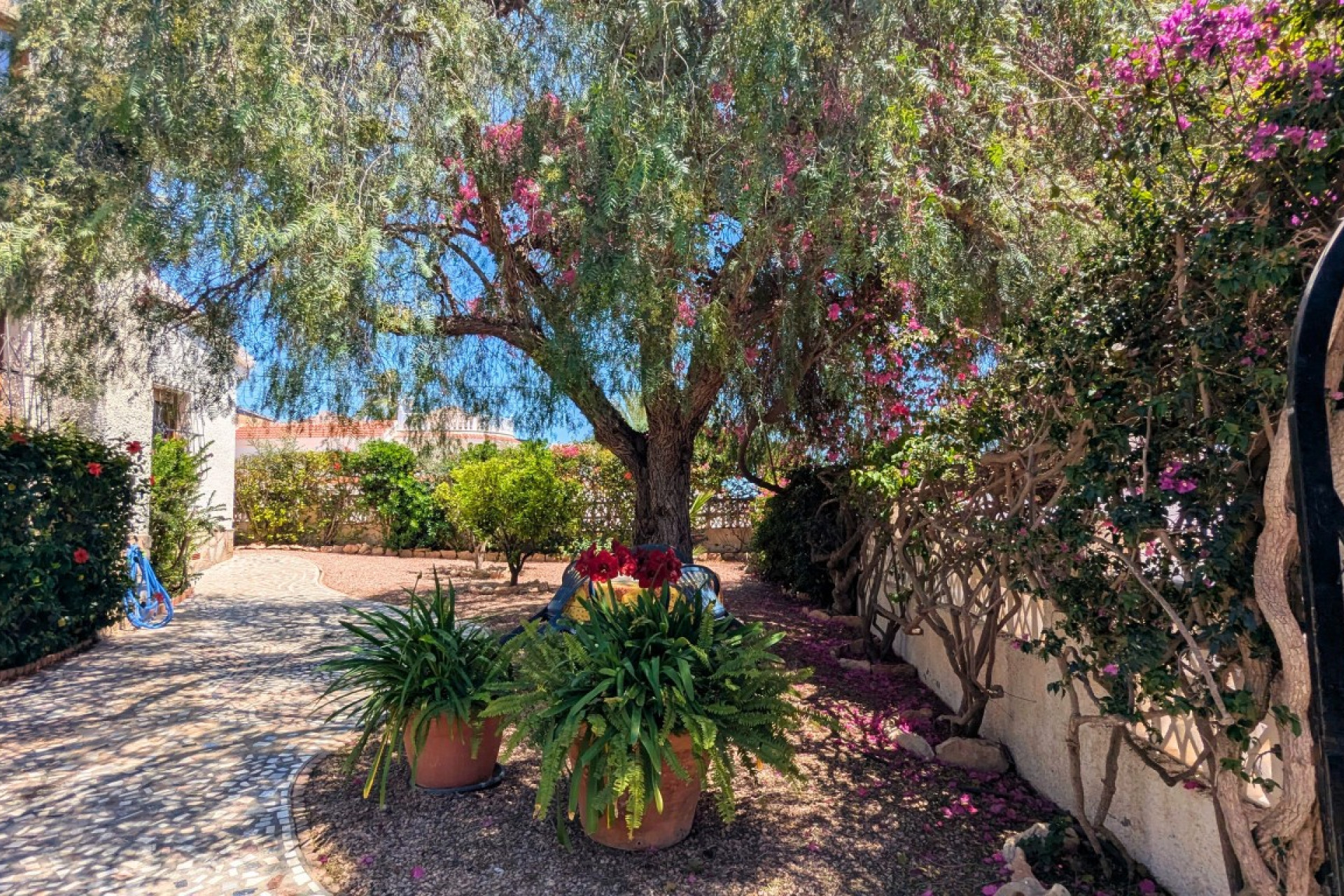 Revente - Detached Villa - Ciudad Quesada
