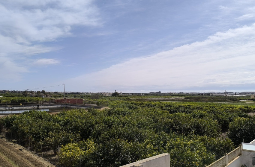 Revente - Detached Villa - Guardamar del Segura - El Raso