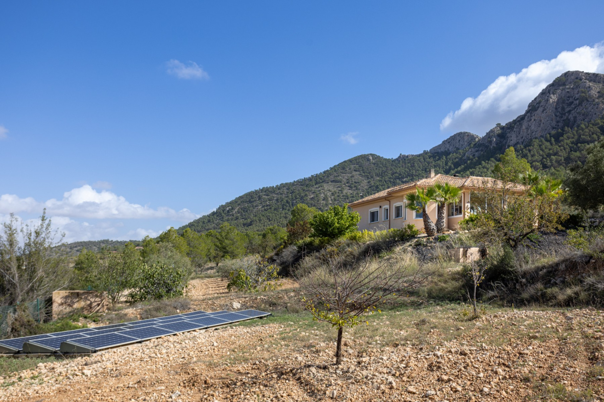 Revente - Detached Villa - La Zarza - La Zarza Murcia