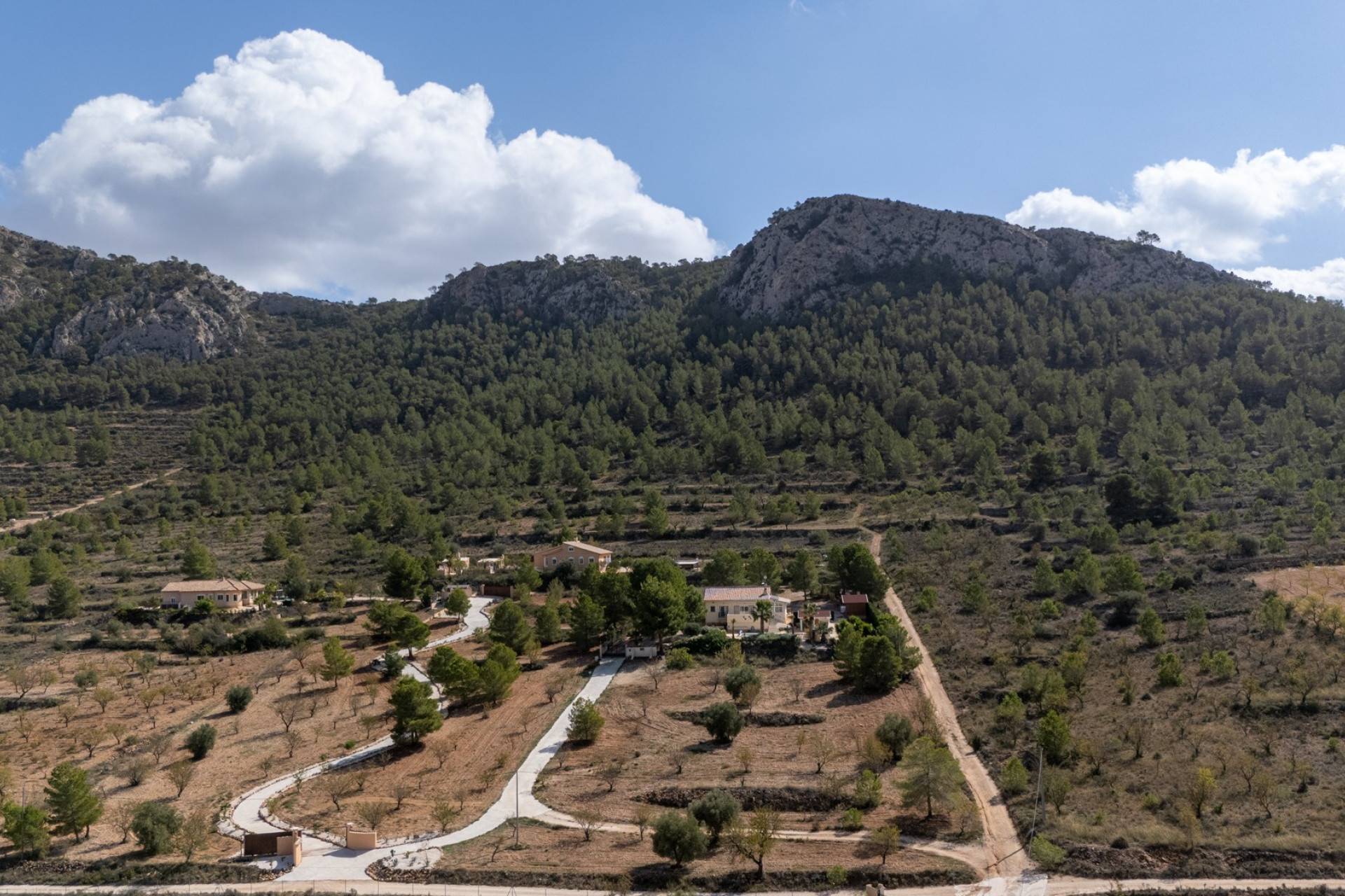 Revente - Detached Villa - La Zarza