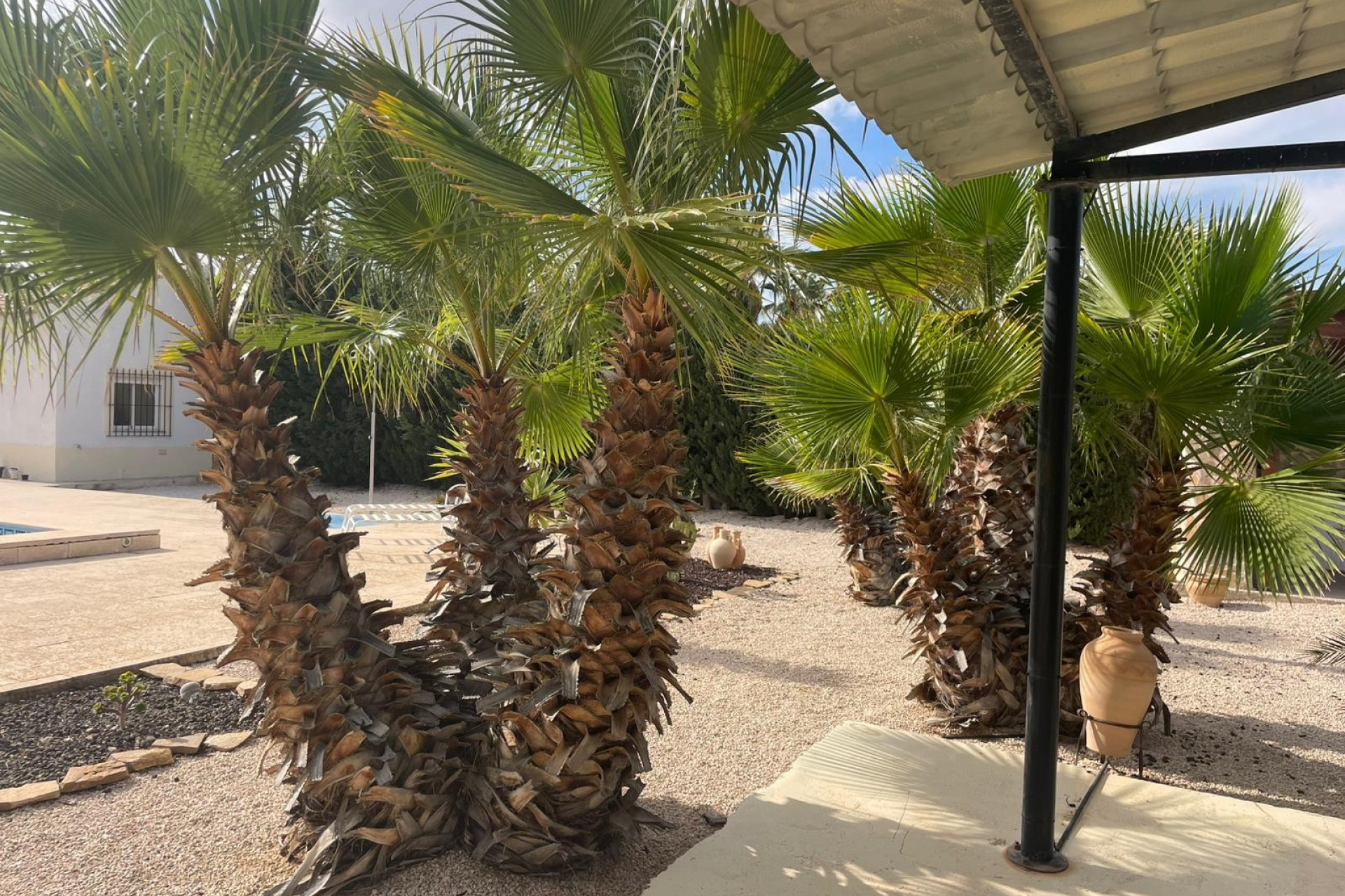 Revente - Finca / Country Property - Abanilla