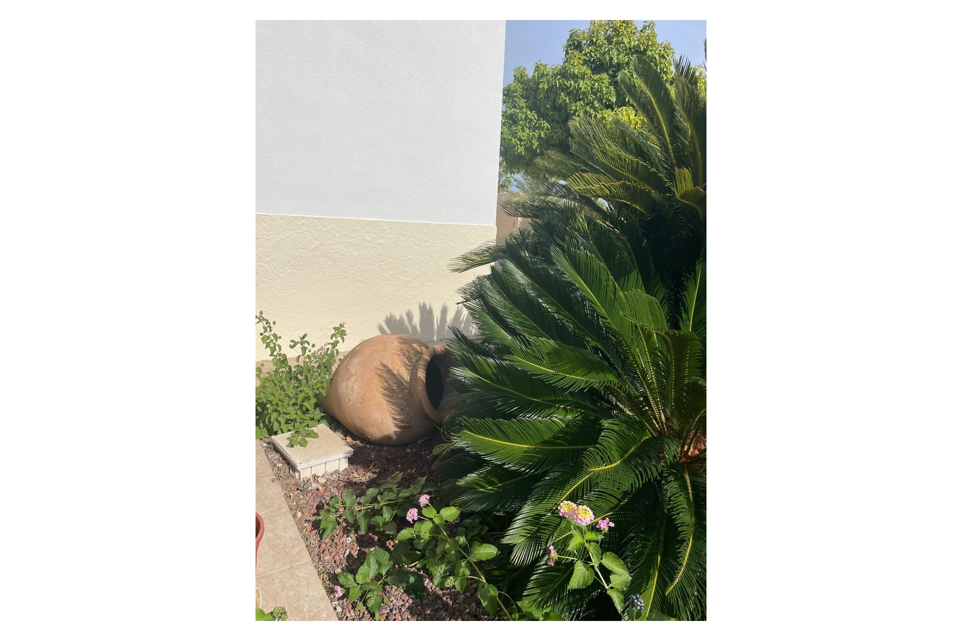 Revente - Finca / Country Property - Abanilla