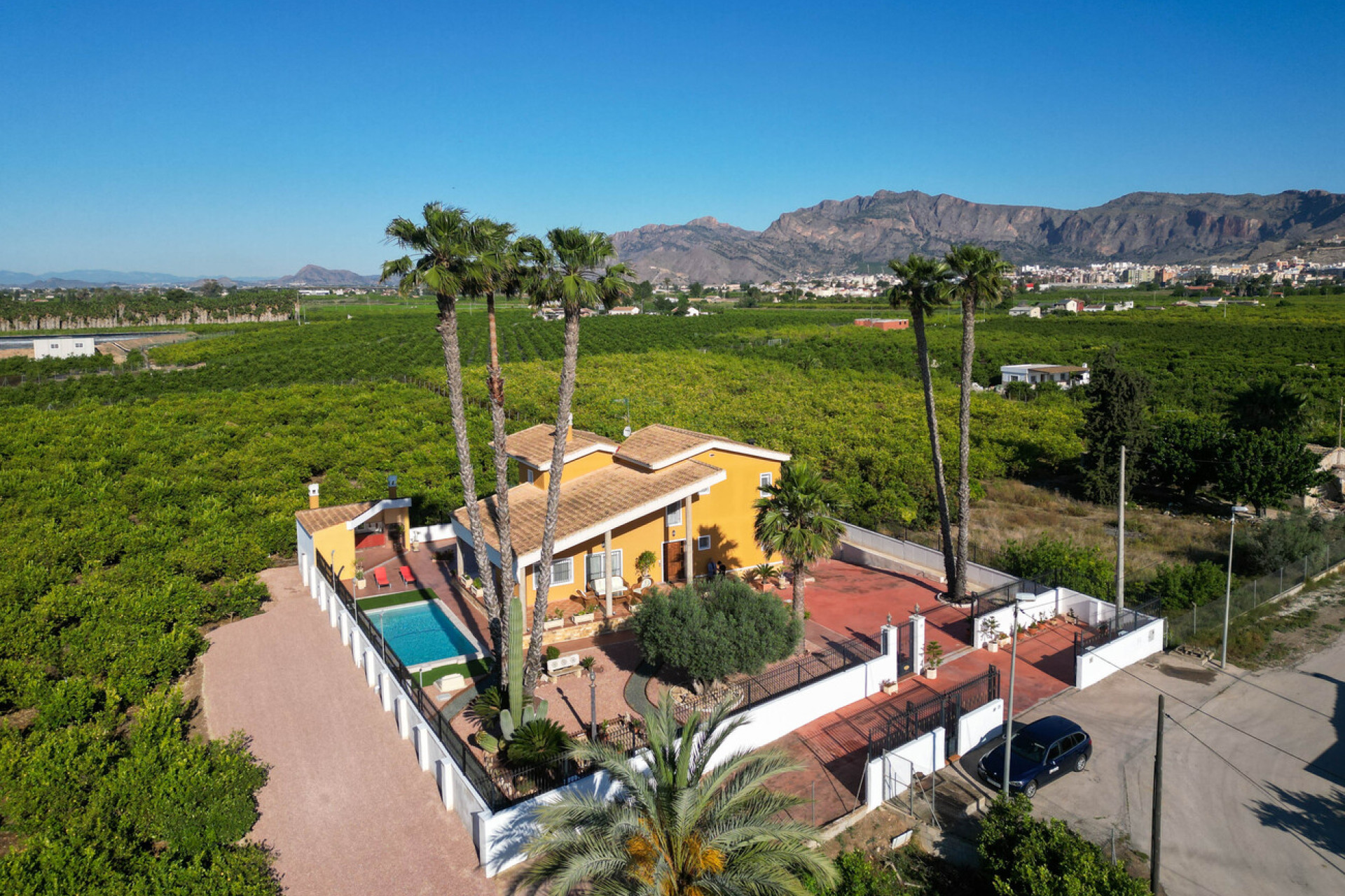 Revente - Finca - Orihuela - Costa Blanca
