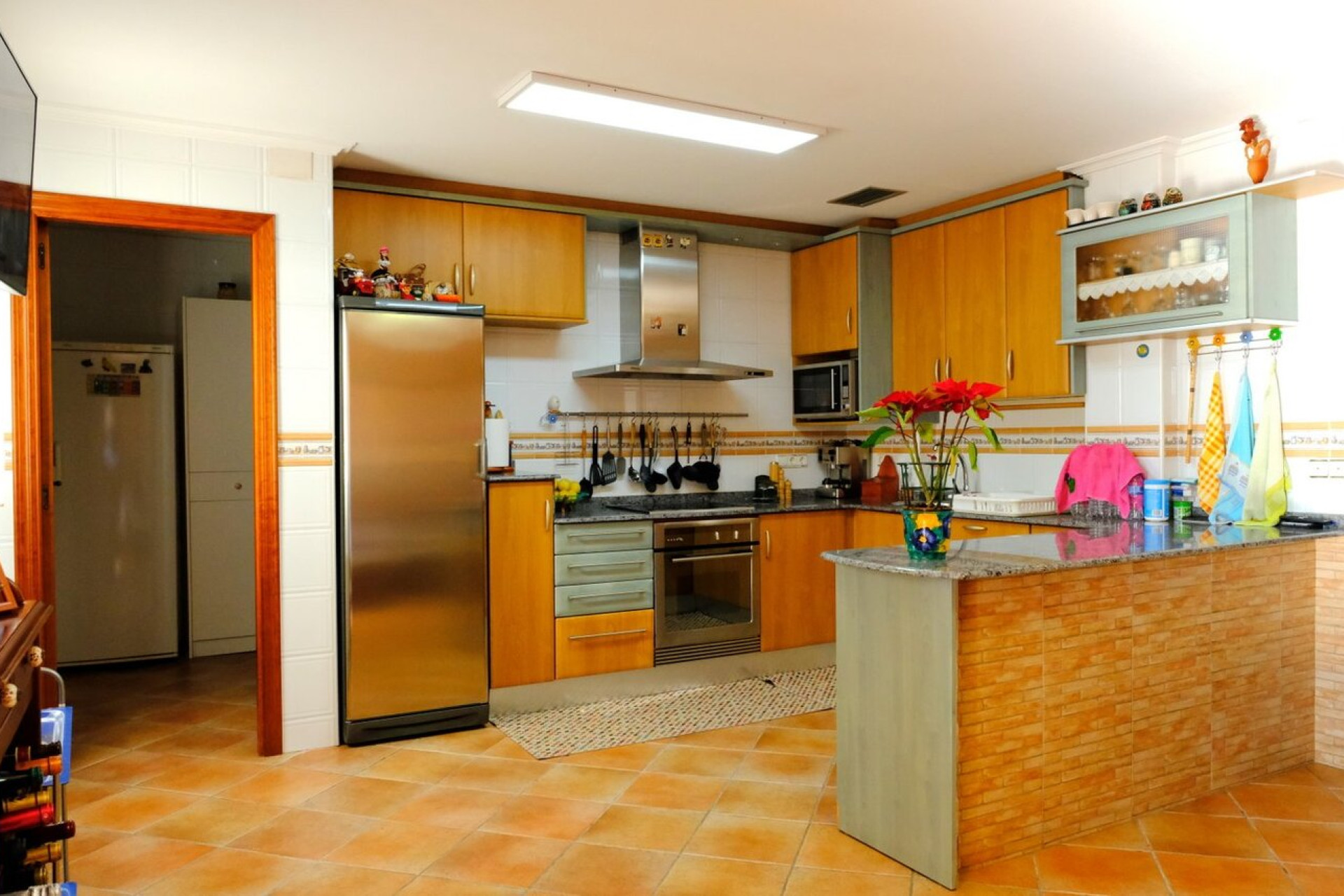 Revente - Finca - Orihuela - Costa Blanca