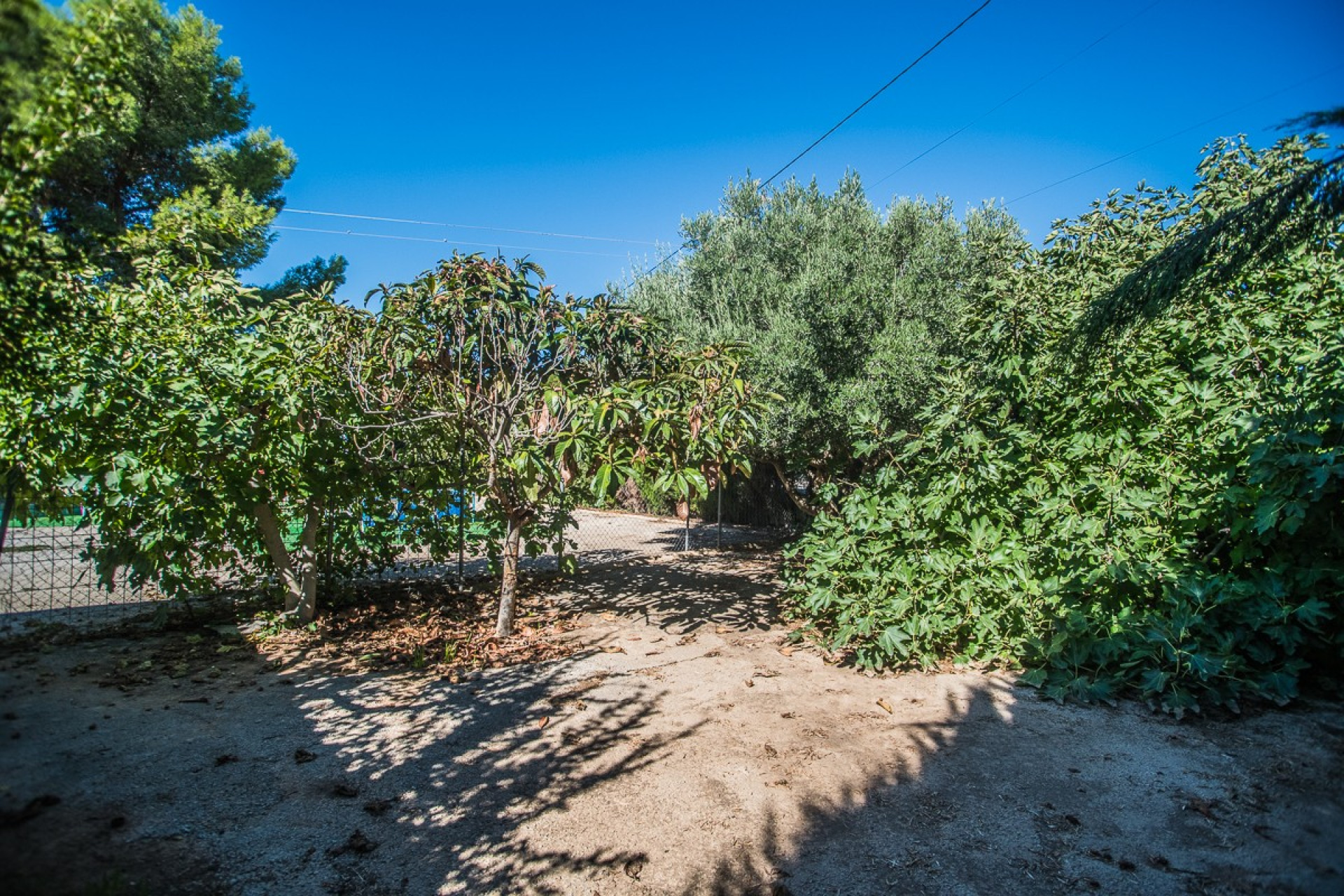 Revente - House - Orihuela - Redovan