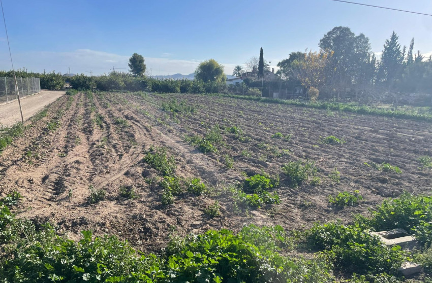 Revente - Land - Almoradí - Las Heredades