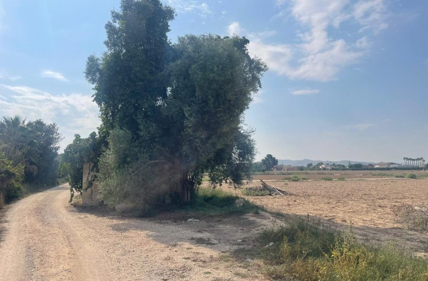 Revente - Land - Almoradí