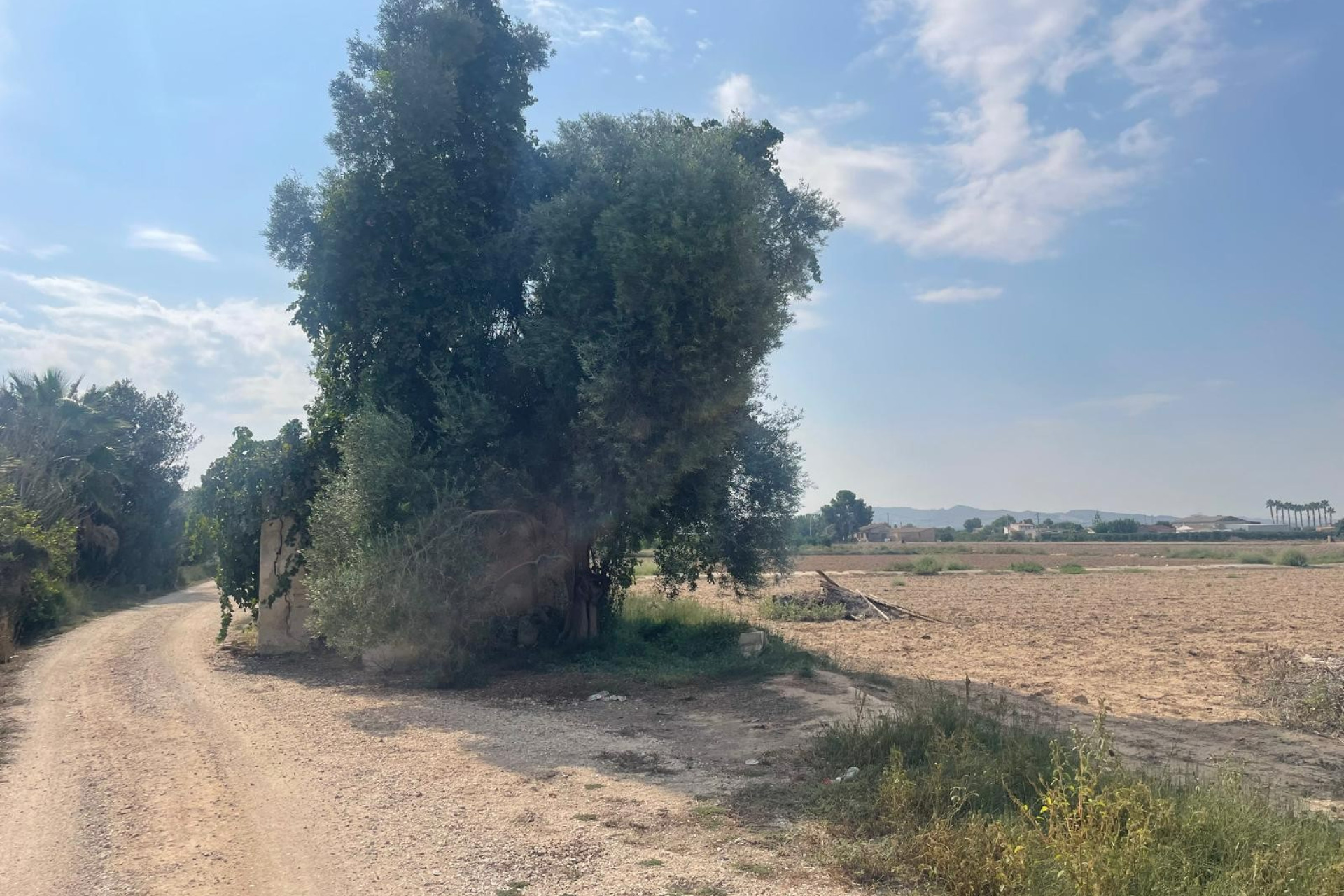 Revente - Land - Almoradí