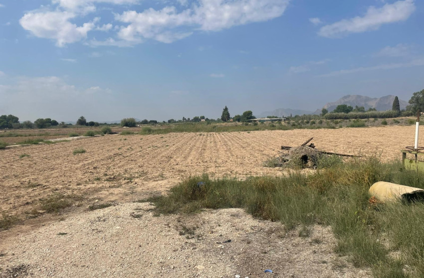 Revente - Land - Almoradí
