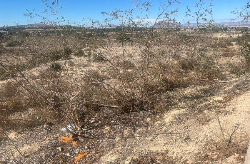 Revente - Land - Benijófar