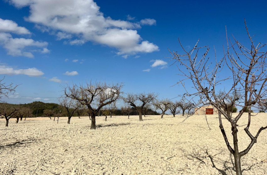 Revente - Land - Bullas - Costa Calida
