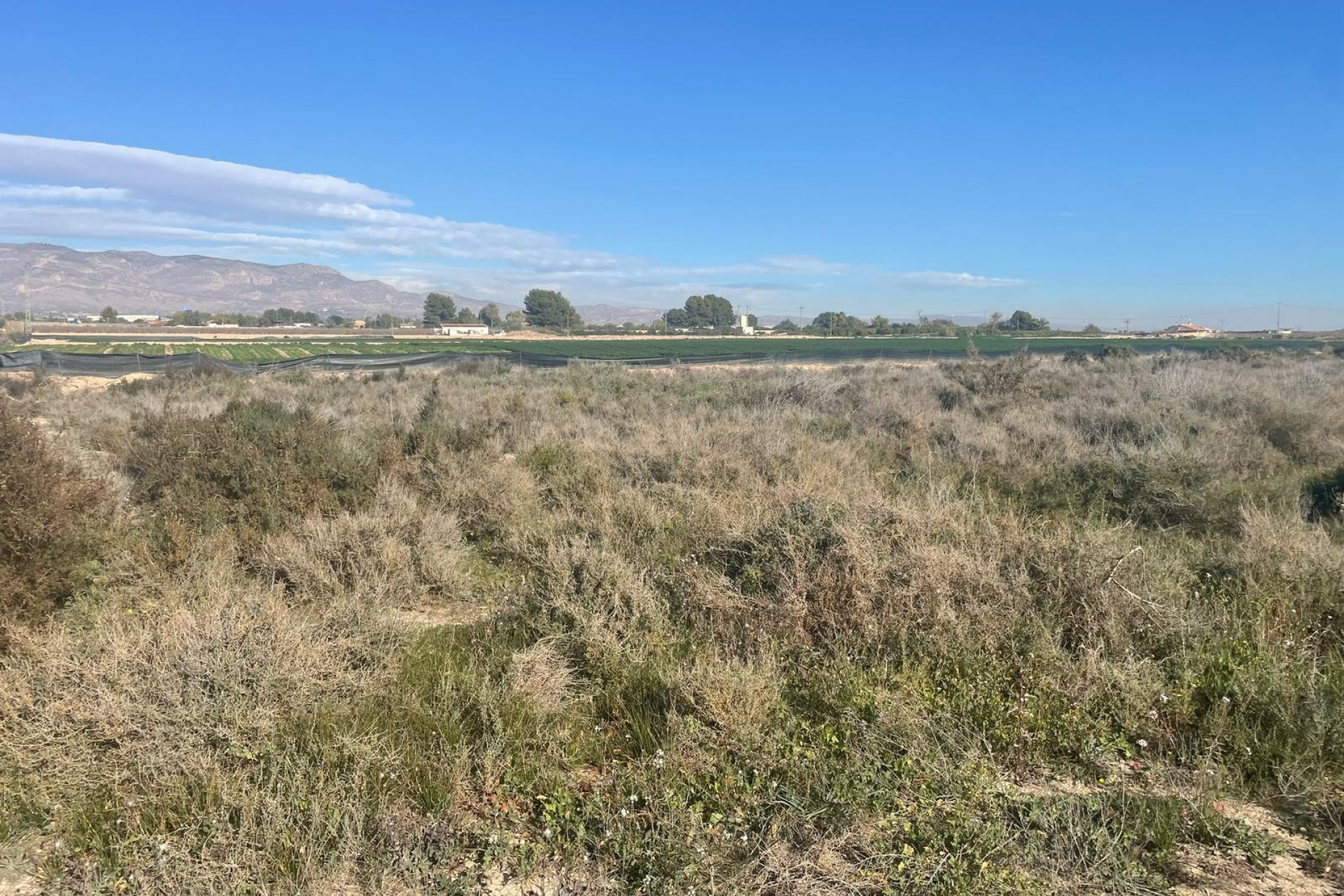 Revente - Land - Crevillente - Crevillent