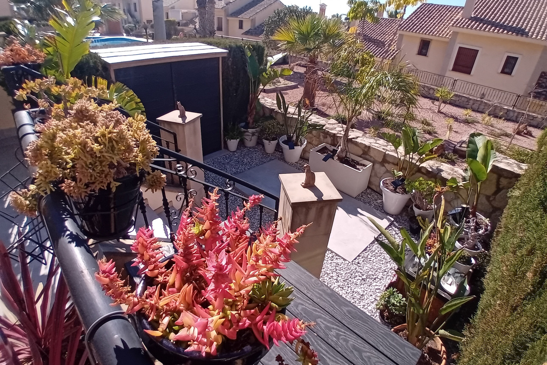 Revente - Maison de ville - Algorfa - La Finca Golf