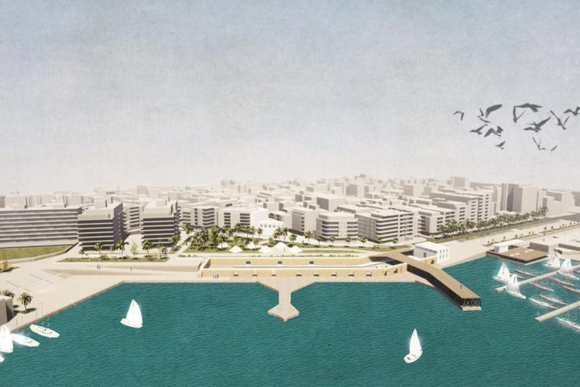 Revente - Office - Torrevieja - torrevieja